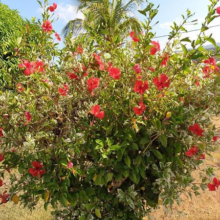 Villa Soleil Dz Baillif Luaran gambar