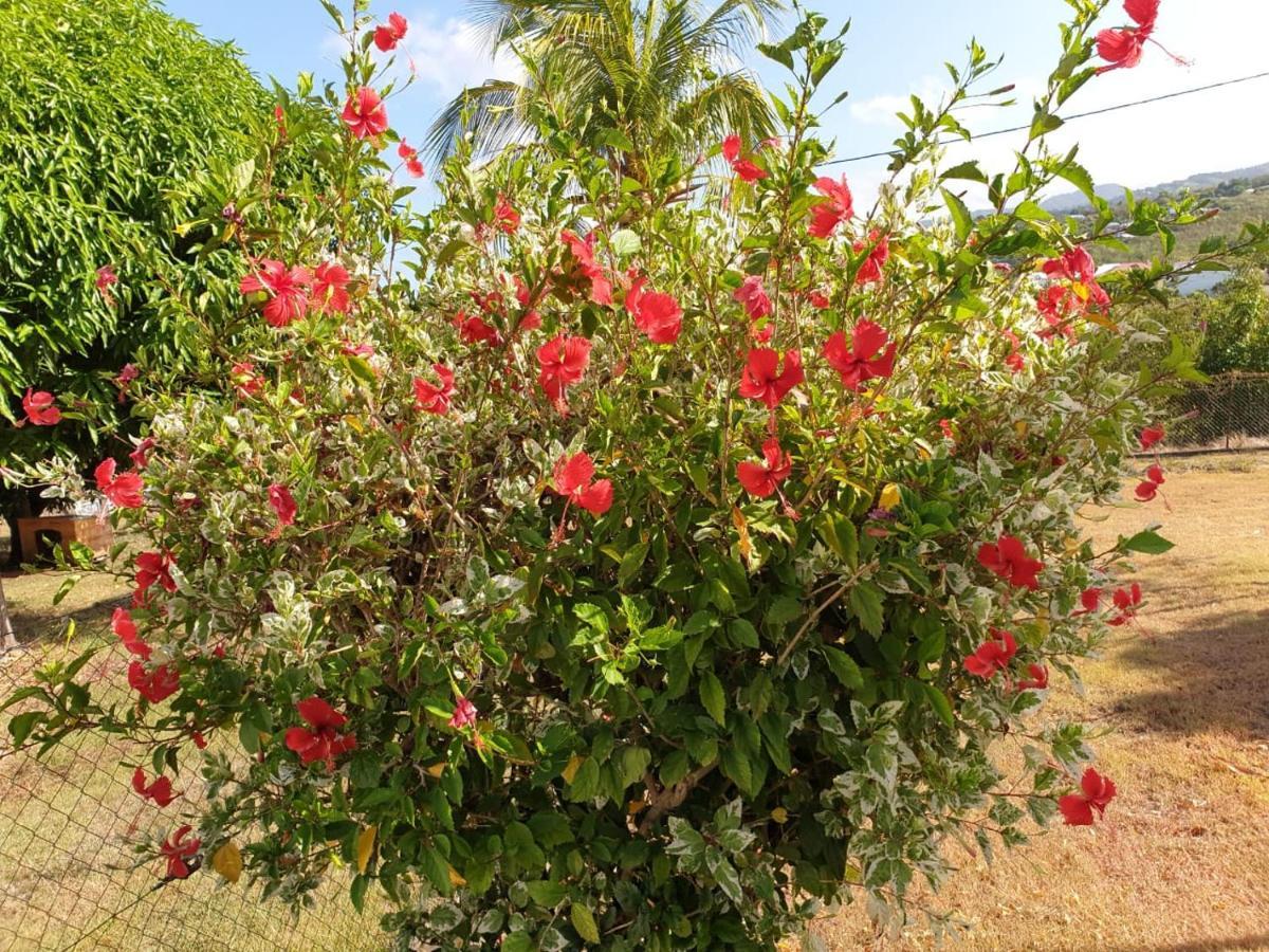 Villa Soleil Dz Baillif Luaran gambar